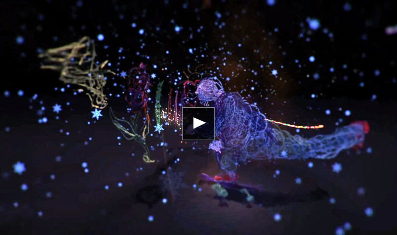 3D Skateboarder